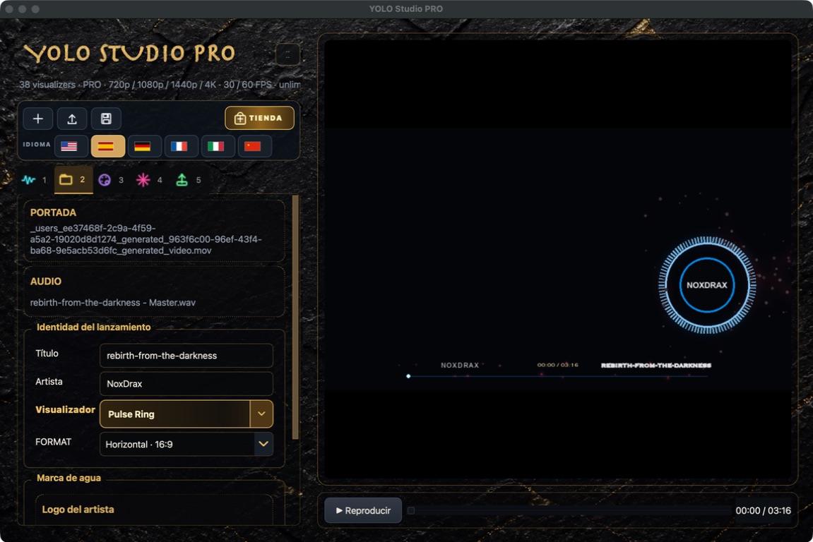 Selector de visualizador